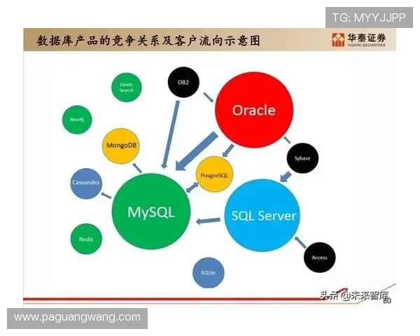 PA集团官网：深入解析PA公司的核心业务与行业地位的官方介绍