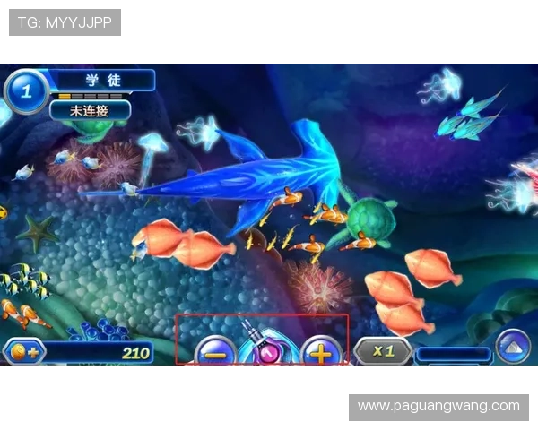 掌握PA捕鱼王技巧的详细攻略助你成为游戏中的捕鱼达人