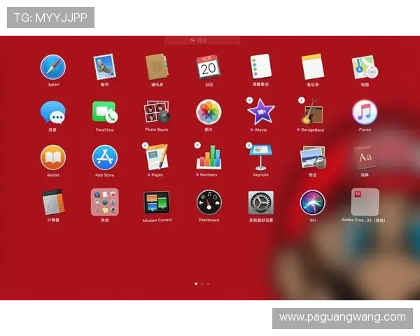 ag电投厅手机版操作指南，详细步骤帮助新手快速上手