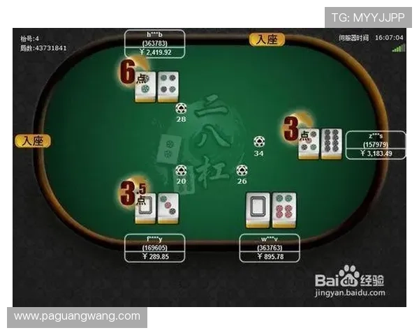 二八杠玩法大全规则详解，帮助玩家理解游戏中的各种玩法细节