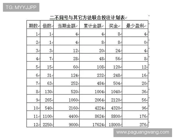 快3玩法特点全面解析助你掌握投注策略提升中奖率实现盈利目标