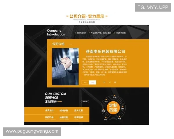 金沙网页版登录最新版本更新内容，优化体验提升安全保障措施
