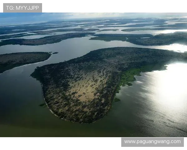 新濠真人积极推动绿色环保理念，打造可持续发展的线上娱乐生态系统