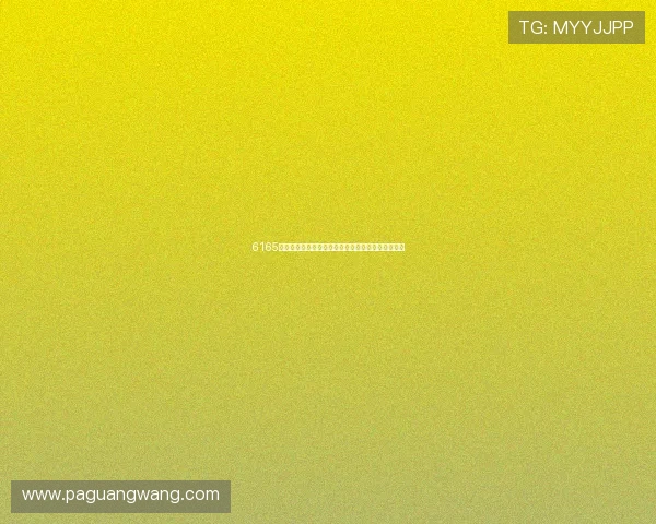 6165金沙总站登录平台安全稳定保障用户体验的全面解析 6165金沙总站登录平台安全稳定保障用户体验的全面解析